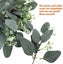 20pcs Artificial Eucalyptus Leaves Stems With White Seeds Short Silver Dollar Fa Carousel 4