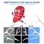Dental Flavoured Floss Picks, High Toughness Toothpicks Sticks Clean/healthy Carousel 3