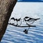Metal Bird Steel Silhouette Steel Branch Bird Outdoor Decoration Steel Bird Stat Carousel 5