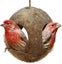 Loading Image 1 of 2
