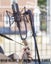 Mophead 15 Foot 4.5m XLR Extension Braided Cable Blue and Black Carousel 7