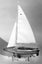 Loading Image 1 of 1