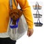 SOGA Grey Pet Carrier Bag Breathable Net Mesh Tote Pouch Dog Cat Travel Essen... Carousel 3