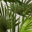 SOGA 120cm Artificial Natural Green Fan Palm Tree Fake Tropical Indoor Plant ... Carousel 6
