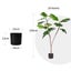SOGA 120cm Artificial Natural Green Split-Leaf Philodendron Tree Fake Tropica... Carousel 2