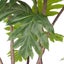 SOGA 120cm Artificial Natural Green Split-Leaf Philodendron Tree Fake Tropica... Carousel 5