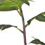 SOGA 120cm Artificial Natural Green Split-Leaf Philodendron Tree Fake Tropica... Carousel 6