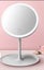 LED Ring Light with mirror Carousel 1