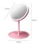 LED Ring Light with mirror Carousel 2