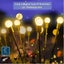 Brand New Solar Outdoor Lights Garden Solar Lights Firefly *Clearance* Carousel 12