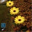 Brand New Solar Lights Outdoor Light Sunflowers*Hot SALE Carousel 14