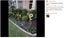 Brand New Solar Lights Outdoor Light Sunflowers*Hot SALE Carousel 4