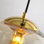 Clear Amber Glass Pendant Light Lamp Hanging Carousel 6