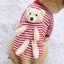 Cute Warm Puppy Small Dog Sweater With Teddy Bear Dog Costumes Carousel 6