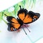 Hod Health And Home Creative 3D Butterfly Design Greeting Card Multi Greeting Ca Carousel 3