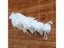 100 Pcs/lot White Drawstring Organza Bags Small Pouches Jewelry Package Bags Carousel 5