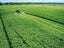 9.4m Butterfly Rear Mower SaMASZ ex-demo ($73,800)+ GST) Carousel 4