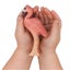 Loading Image 2 of 4