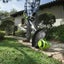 Weed Eater Bladed Head Set Compatible With Ryobi Trimer Carousel 7