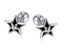 Fashion Star Design Studs Stainless Steel Carousel 1