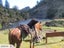 WILDERNESS FISHING AND REMOTE CABIN STAYS , Carousel 16