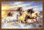 Riolis In the Sunset - Cross Stitch Kit Premium Carousel 3