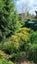 Building , Relocatable , Minor Dwelling...think Composting Waste Water Solutions Carousel 5