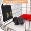 Rabbit hay Feeder Bag,Feeder Storage Bag 25 x 3 x 28cm (Black) Carousel 4