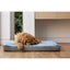 Superior Pet Plus Orthopedic Pet Dog Mat Matress Artic Faux Fur Large 102cm Carousel 3
