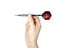 Darts Carousel 6
