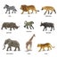 Safari Ltd South Africa Toob Carousel 4