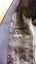 Mens suit Jacket Carousel 2