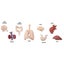 Safari Ltd Human Organs Toob Carousel 3