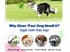 PTN New Interactive Dog Toys Sale Sale Sale Carousel 4