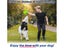PTN New Interactive Dog Toys Sale Sale Sale Carousel 5