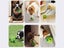 PTN New Interactive Dog Toys Sale Sale Sale Carousel 7