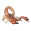 Loading Image 1 of 5
