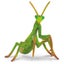 Loading Image 1 of 1