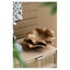 Rembrandt Teak Platters Set/2 SE2623 Carousel 3