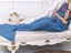 Mermaid Tail Blanket for Adults Carousel 3