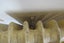Cast iron radiator Carousel 3