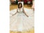 Customized V Neck Wedding Dresses Light Champagne Floor Length Applique Open Carousel 6