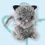 Pom Pom Friends Kit Carousel 5