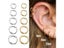 2PC Set Stainless Steel Women Men Gold Black Circle Thick Earring Huggie Carousel 4