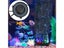 PTN NEW Aquarium Bubble Lights Sale Sale Carousel 7