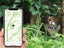 1 X Pet Cat Collar with Airtag Holder Adjustable Cat Collar Purple Carousel 3