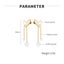 Pearls Heart Earrings Stainless Steel Yellow Gold-plated Studs Carousel 2