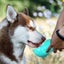 3 in 1 Puppy Dog Cat Pet Water Bottle Drinking Travel Portable 300ml NEW Carousel 4