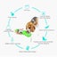 3 in 1 Puppy Dog Cat Pet Water Bottle Drinking Travel Portable 300ml NEW Carousel 5