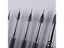 Watercolor Paint Brush BW-216 #2108 Sharp Tip Liner For Detail Wooden Handle Carousel 3